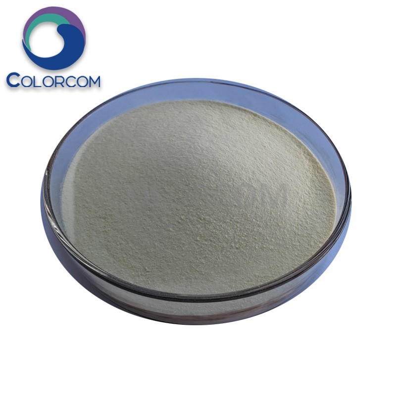Calcium Alginate | 9005-35-0